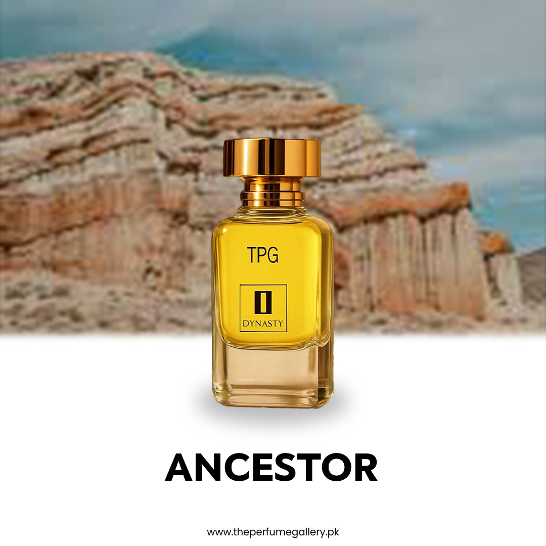 Ancestor 50ML - Perfume, Impression of Accento By Sospiro